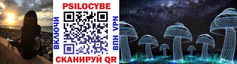 продажа наркотиков  Венёв  Галлюциногенные грибы Magic Shrooms 